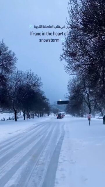 When snowstorms rage in Ifrane... silence transforms into beauty. ❄️ 

#Ifrane #Snowstorm #WinterInIfrane #Morocco #WinterVibes VisitMorocco