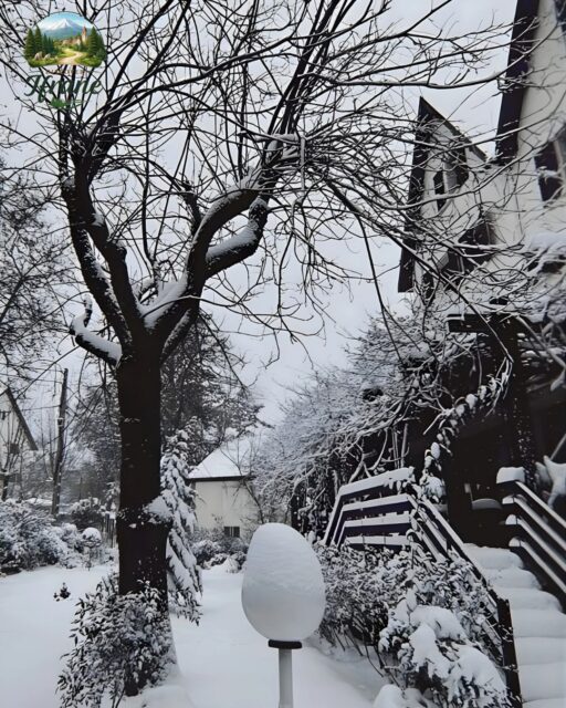 A morning in a fairy tale. ✨❄️ The world seems to pause when the snow blankets Ifrane. 🌲🦁 The air is crisp, the streets are silent, and the views are unforgettable. 🏔️🤍
​Would you brave the cold for this view?

#Ifrane #DiscoverIfrane #Morocco #VisitMorocco #WinterWonderland #SnowDayMorocco #MiddleAtlas #TravelPhotography #Nature #Snowfall