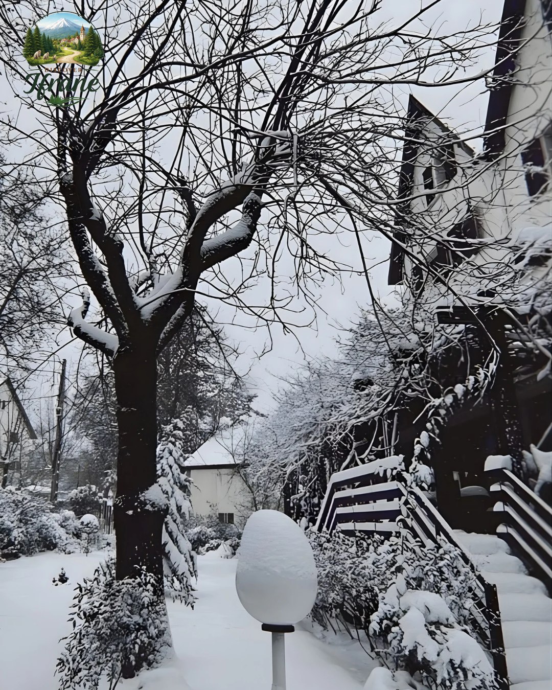 A morning in a fairy tale. ✨❄️ The world seems to pause when the snow blankets Ifrane. 🌲🦁 The air is crisp, the streets are silent, and the views are unforgettable. 🏔️🤍
​Would you brave the cold for this view?

#Ifrane #DiscoverIfrane #Morocco #VisitMorocco #WinterWonderland #SnowDayMorocco #MiddleAtlas #TravelPhotography #Nature #Snowfall
