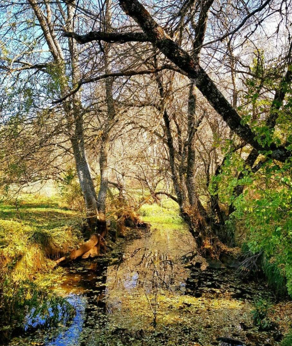 3 Top Outdoor Activities with nature