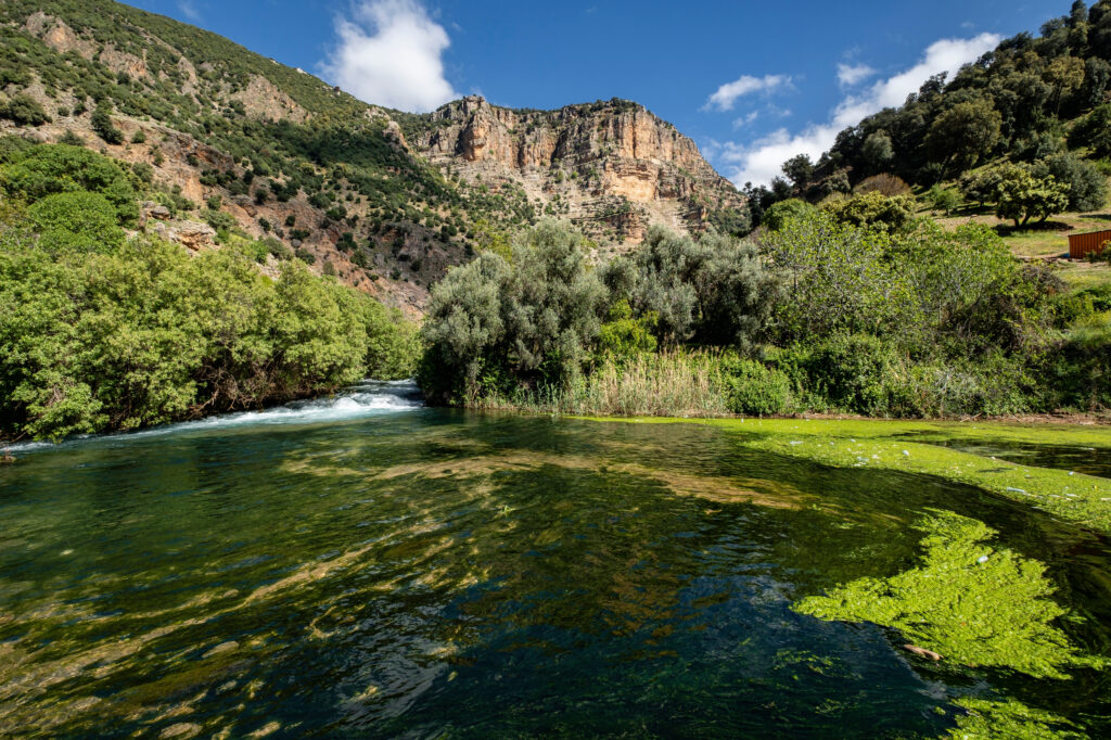 Discover Ifrane - peaceful lake and cedar forest in Morocco
