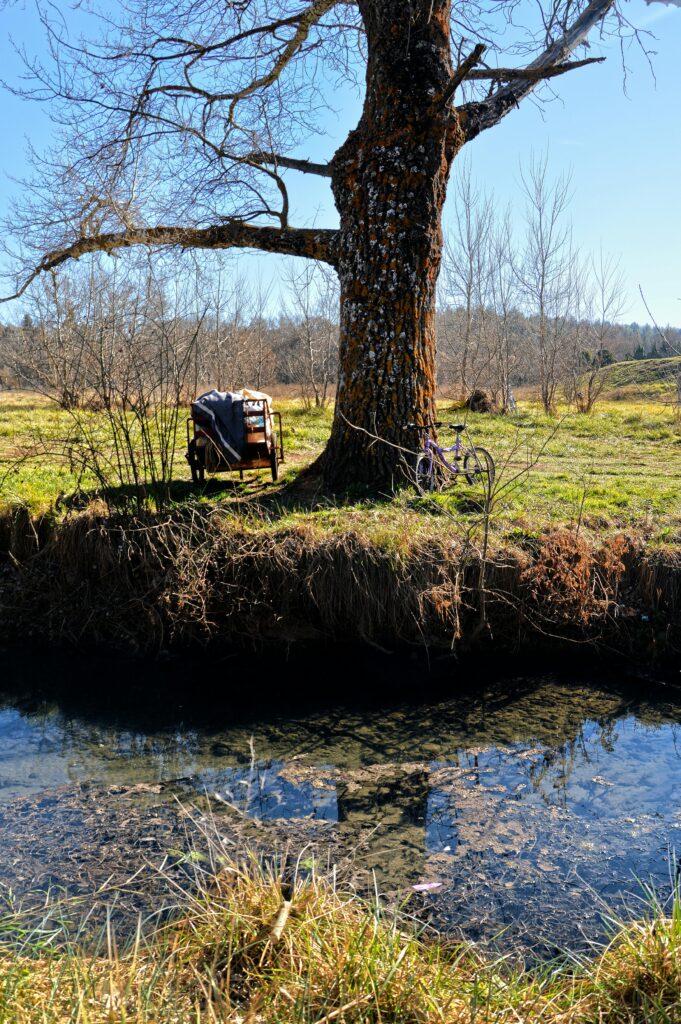 about us Tranquil riverside scene with tree, chair, and bicycle in Ifrane, Morocco, evoking peaceful nature vibes.